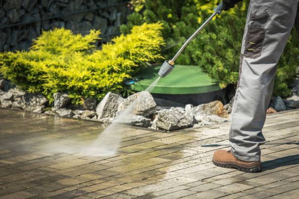 Best Pre-Holiday Cleaning  in Hillsboro, OH