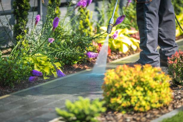 Best Boat and Dock Cleaning  in Hillsboro, OH